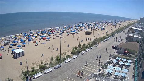 rehoboth cameras|Live Webcams